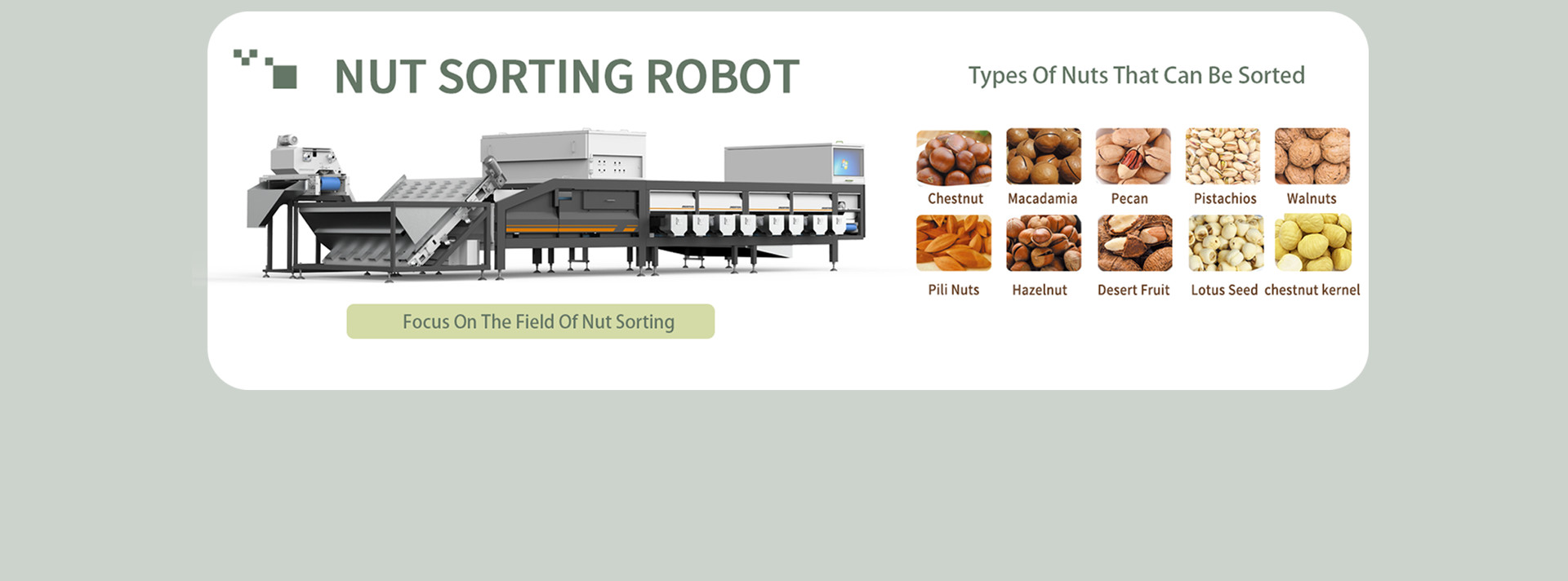 Quality Dates Sorting Machine & Grading Sorting Machine factory from China