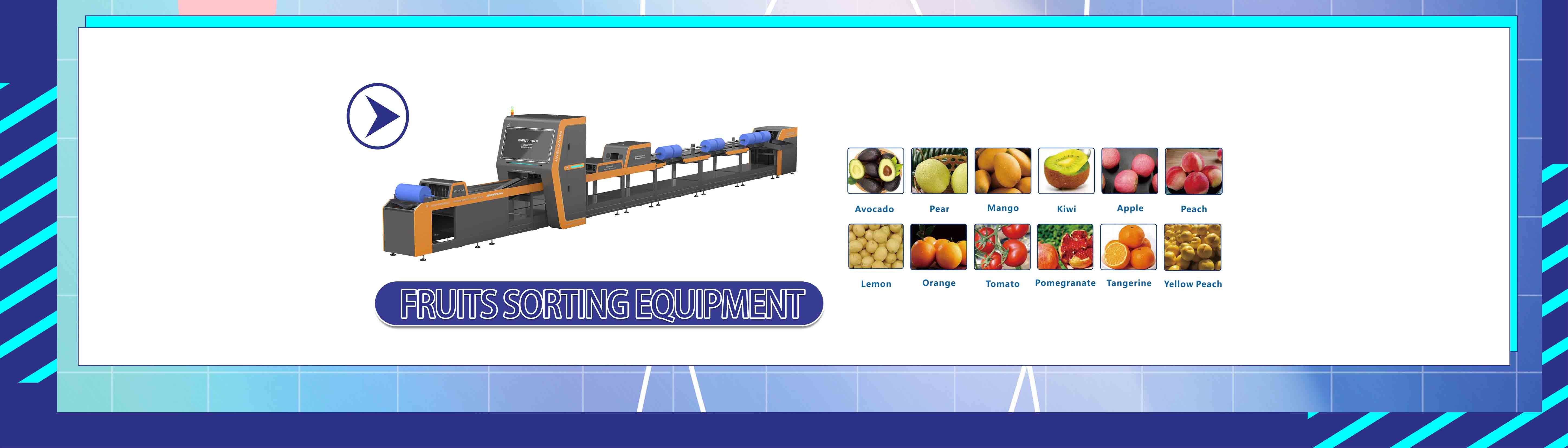 Quality Dates Sorting Machine & Grading Sorting Machine factory from China
