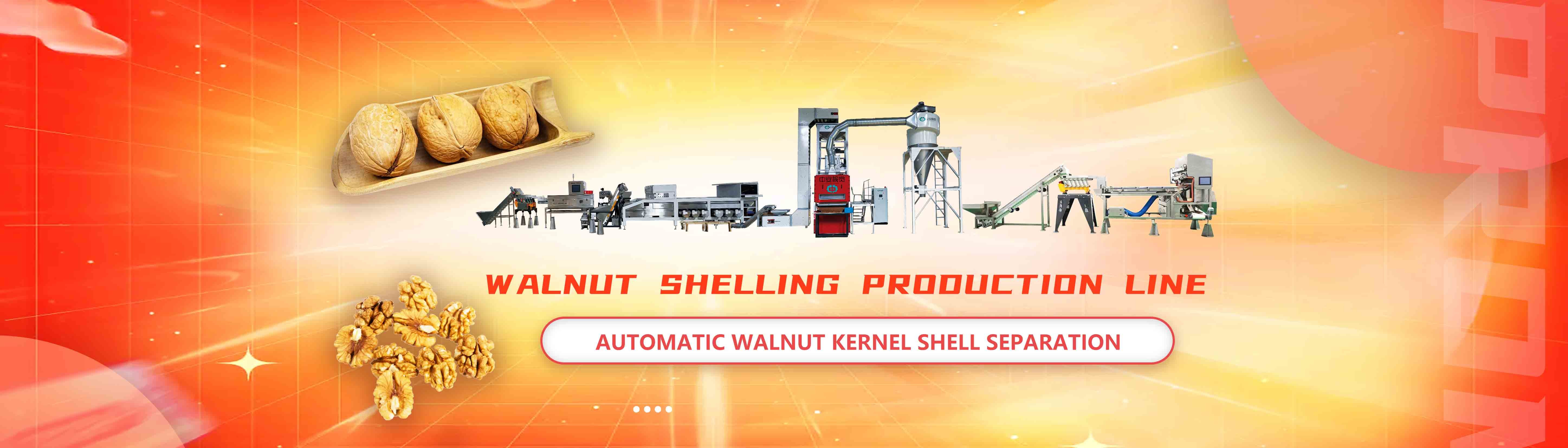 Quality Dates Sorting Machine & Grading Sorting Machine factory from China