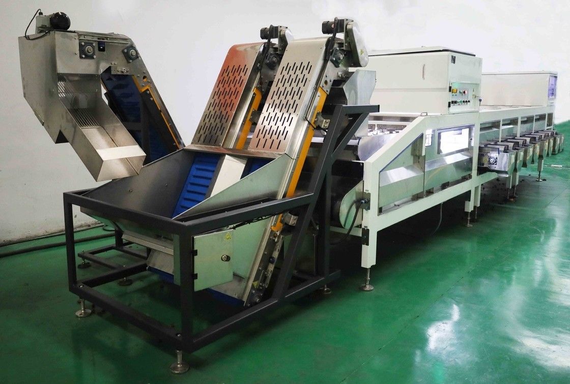 Large Yield 50Hz 7.5KW Date Sorting Machine 8 Channel for Food