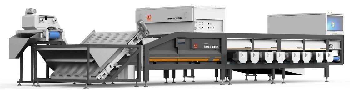 Automatic Dates Sorting Machine 8 Channel 7KW Electric Drive For Jujubes
