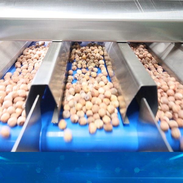 360 Degree Rotational Scanning Lotus Seed Sorting And Grading Machine 8 ...