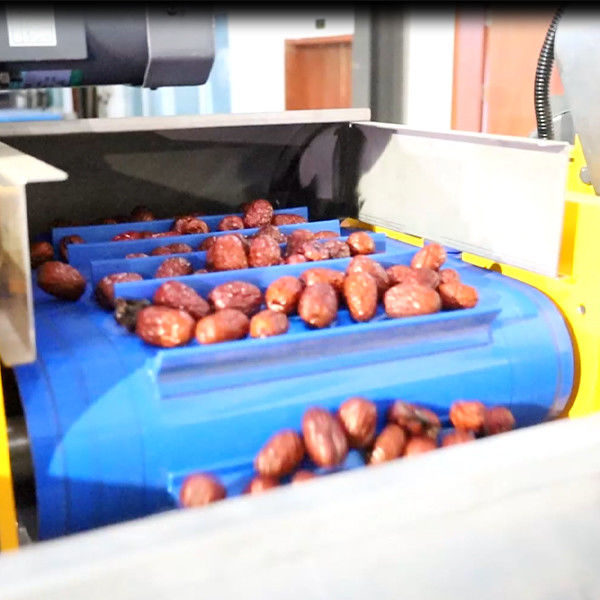 Silver Stainless Steel Dates Sorting And Grading Machine 380V 10 Lanes
