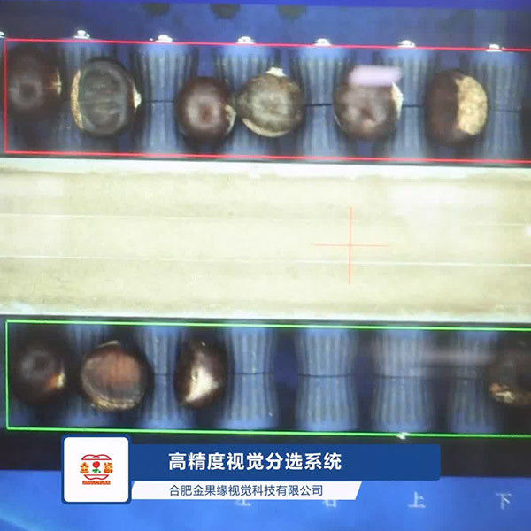 High Efficiency 2 Ton Output Chestnut Sorting Machine Low Air Consumption