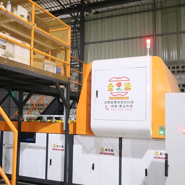 Orange Parcel Machine Electricity Orange Sorting Machine With Up To 50 Discharge Ports For ...