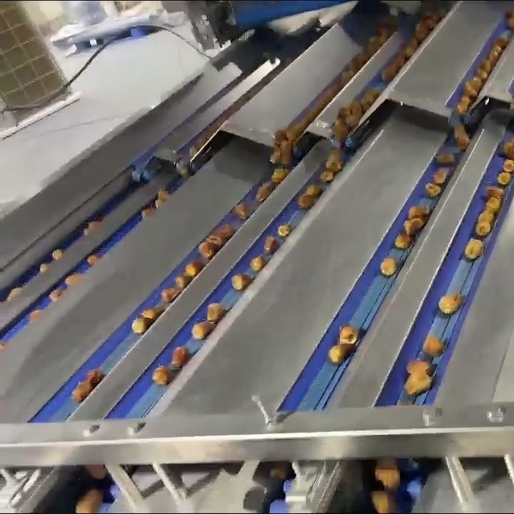 AI Powered Date Sorting Machine With Intelligent Data Statistics System ...