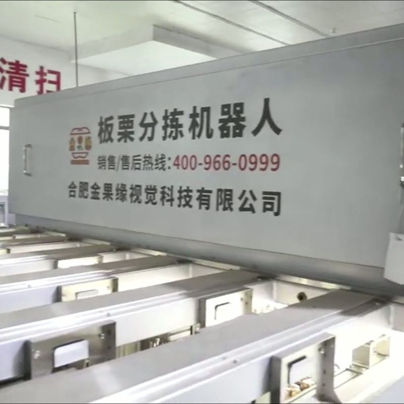 High Accuracy 304 Stainless Steel Chestnut Sorting Machine with 6-12 ...