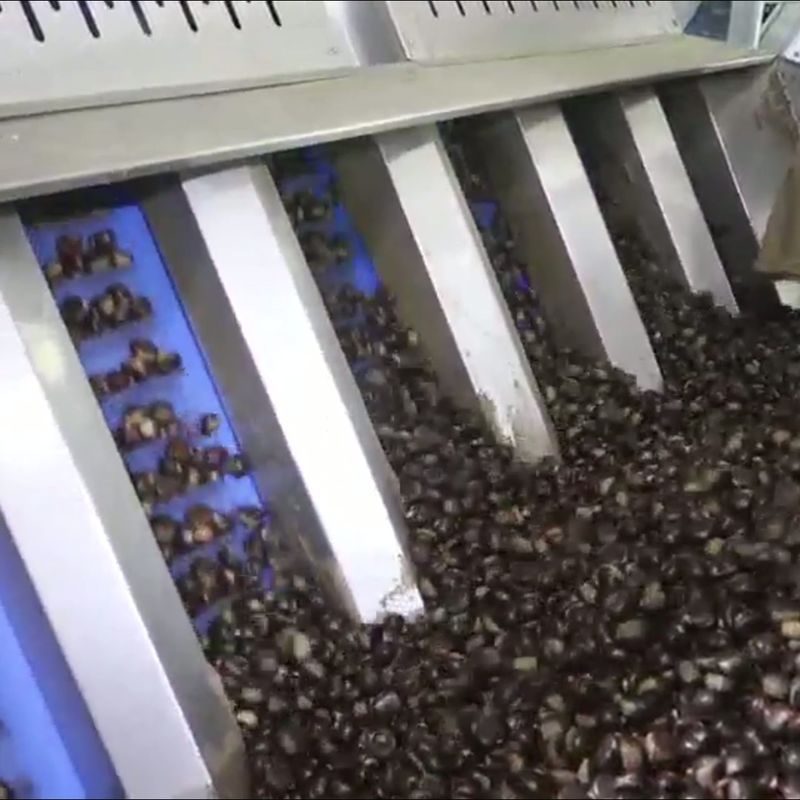 Achieve High Accuracy and Labor Savings with Our Intelligent 304 SS ...