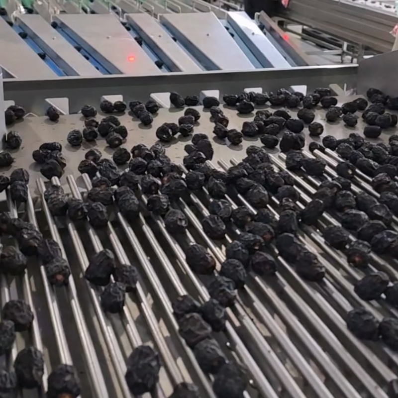 High-capacity Dates Sorting Machine, High Performance, 6 lanes+10 ...