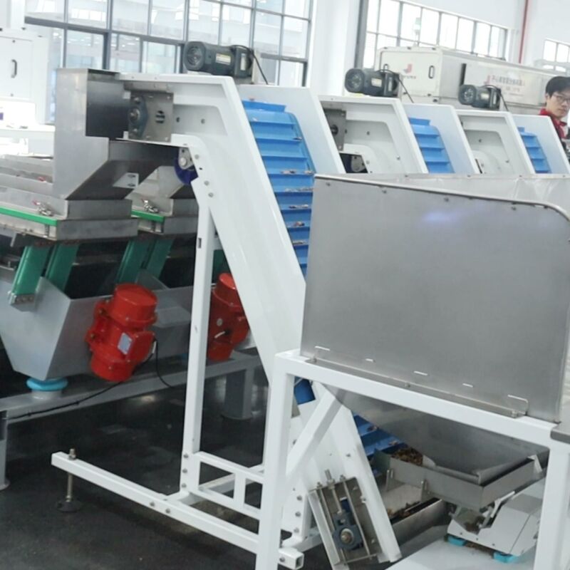 AI-Powered Walnut Kernel Grading Machine High Resolution Cameras 8 Lane ...