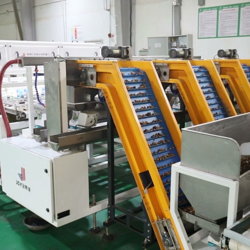 Complete Integrated Walnut Kernel Sorting Solution Provides Full ...