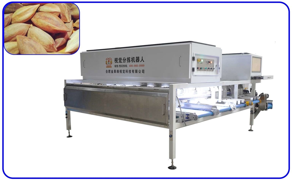Precise Pili Nuts Grading Sorting Machine Mechanical 6 Channel Computer
