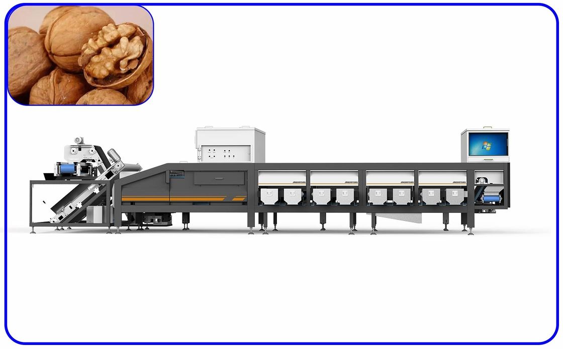Walnut Quick Grading Sorting Machine 6.3KW 6 Channel With AI Technology
