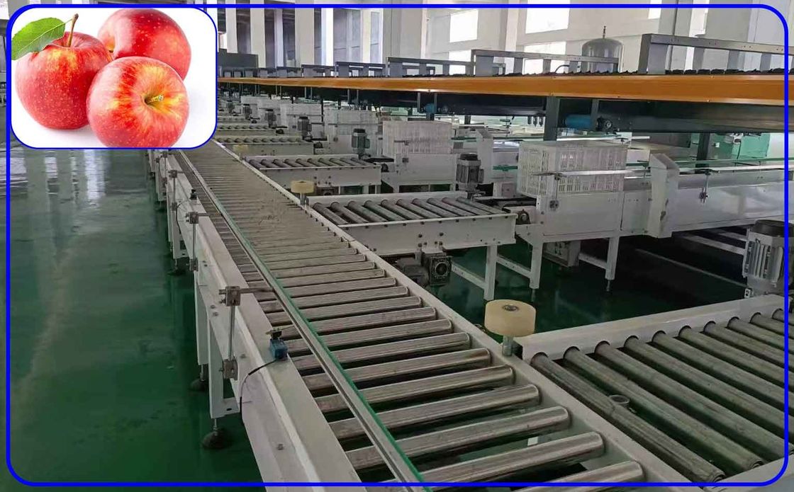 Apple Fruit Sorting Machine 4 Channel Intelligent High Speed For Size ...