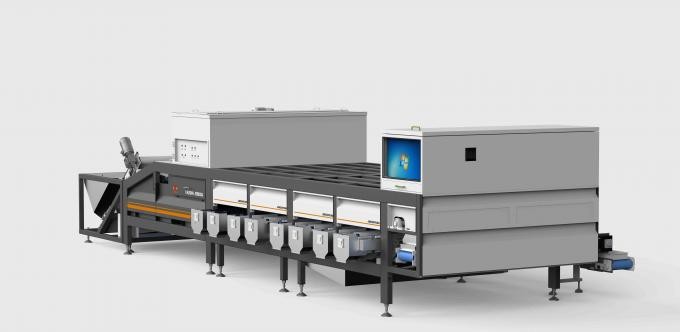 Smart Dates Agricultural Sorting Equipment Electric Driven 12 Channel