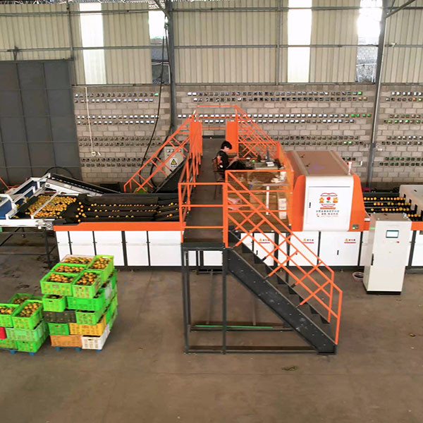 Orange Parcel Machine Fruit Orange Sorting Machine Integrated External Inspection And ...
