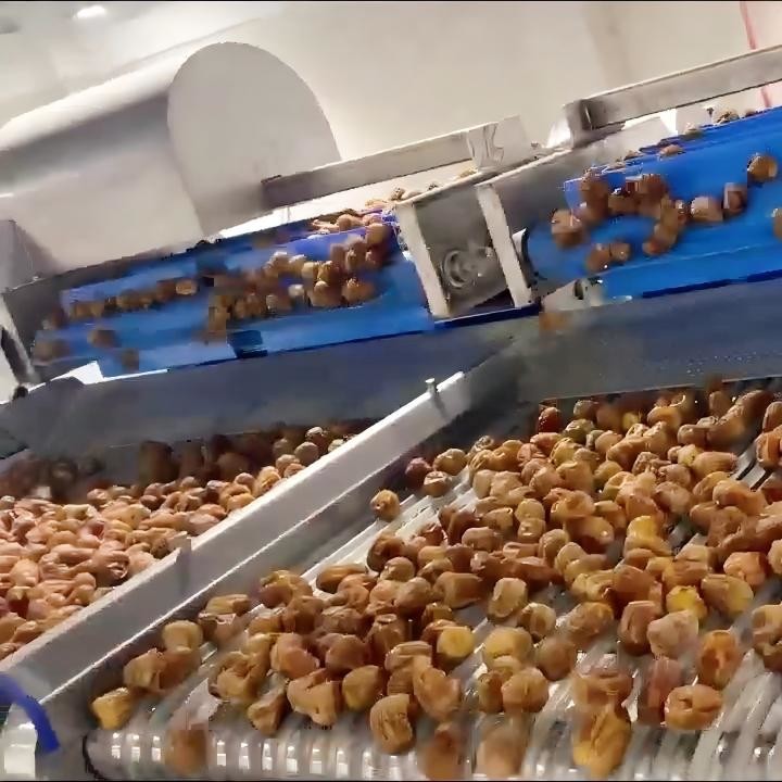 High Capacity AI Powered Date Sorting Machine 360° Rotating Scanning 8 ...