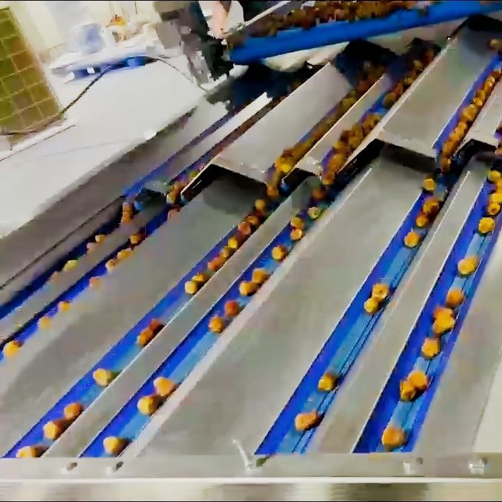 Intelligent Date Sorting Machine With Smart 360° Rotational Scan Multi ...