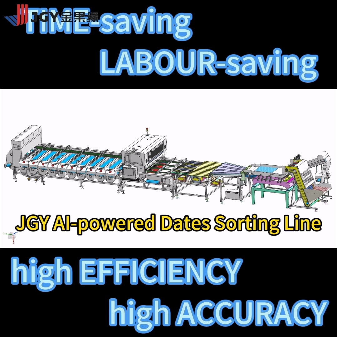 AI-Powered High-Precision AJwa Medjool Date Sorting Machine: 8 lanes ...