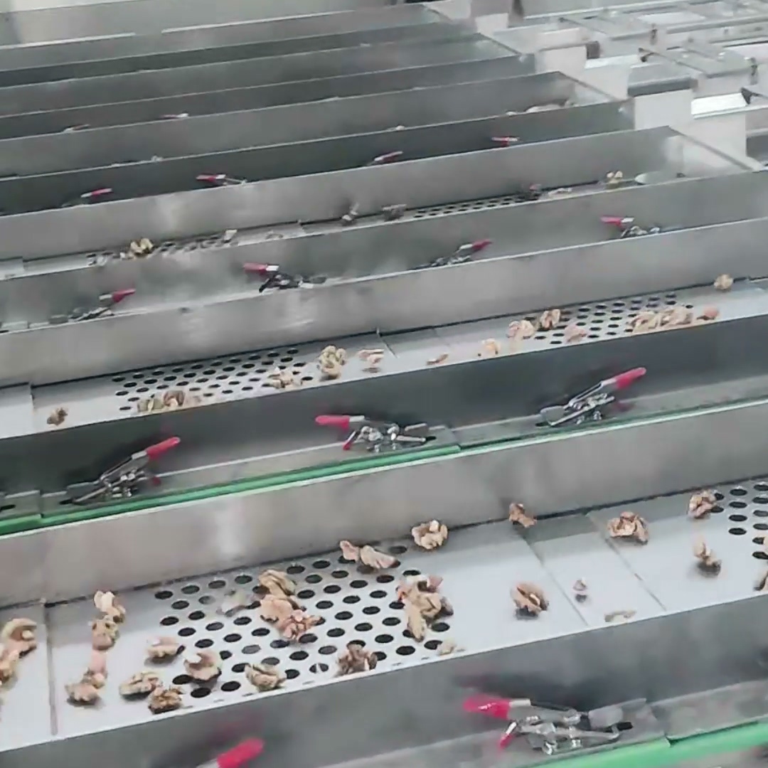 Kernel Grader Machine Industrial Walnut Kernel Grading Machine With 8 Lanes Capacity And Real ...
