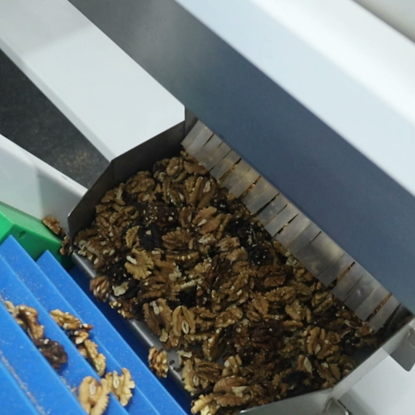 High-Throughput Walnut Kernel Sorting Machine Handles Large Volume Nut ...