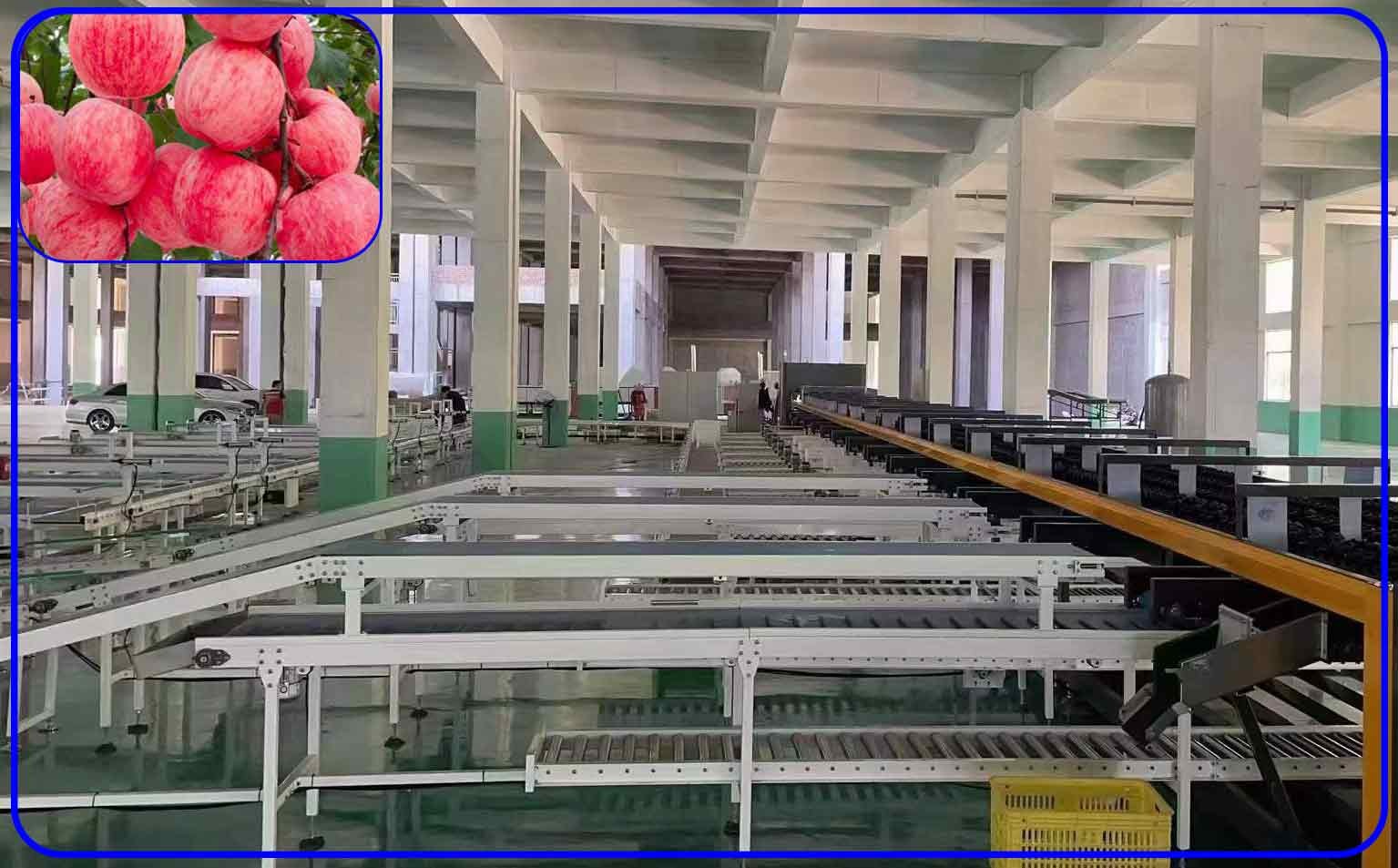 Robot Computer Control Apple Sorting Equipment 2 Channel Intelligent ...