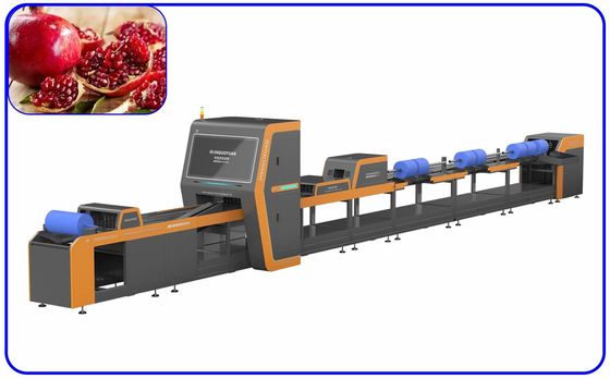 Quality Dates Sorting Machine & Grading Sorting Machine factory from China