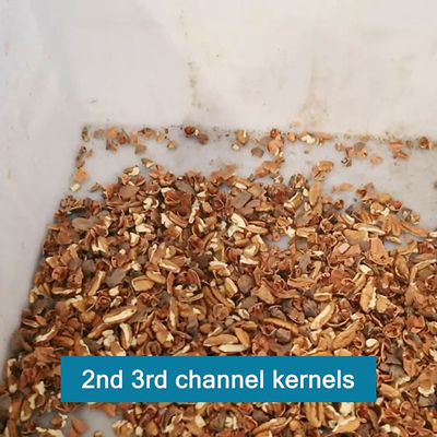 High Speed Pecan Shelling Machine 380V CE Approved 1-2 Tons Yield