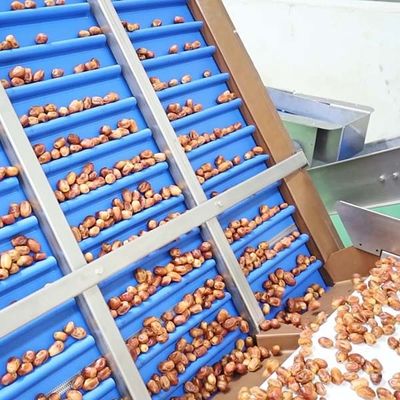 Advanced Sorting Precision 2.0 Tons Capacity 8-Lane Palm Dates Sorting ...