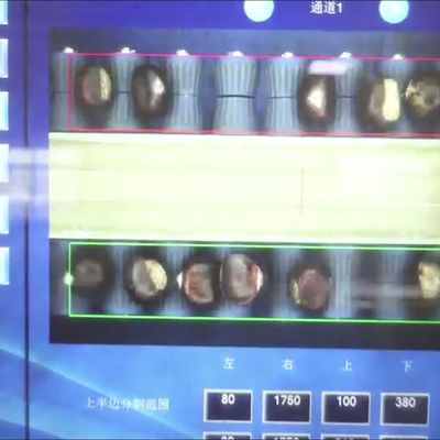 High Capacity 8 lanes+8 outlets Chestnut Sorting Machine: Bulk ...