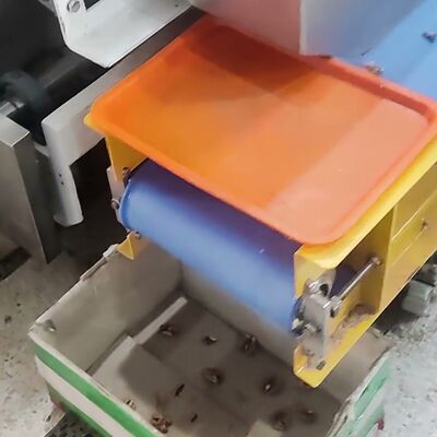 Walnut Kernel Grading Machine with Solenoid Valves & Shadowless Lamp