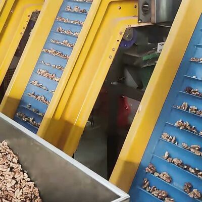 Intelligent Walnut Kernel Sorting Machine With 8 Lanes Throughput And ...