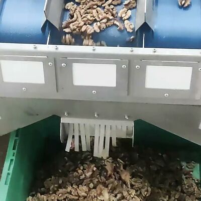Advanced Walnut Kernel Sorting Machine With 8 Lanes Digital Vision And ...