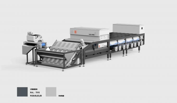 12 Channel Walnut Sorting Machine Size Damage Optical Sorting Equipment