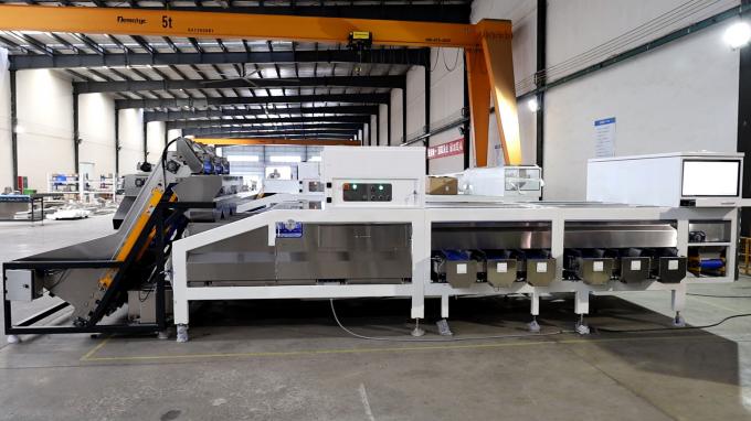 In Shell Macadamia Nuts Sorting Machine Accurate Grading Sizing ...