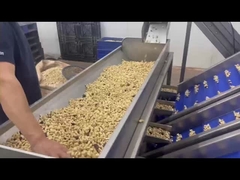 High-Precision Cashew Nut Intelligent Sorting Line Showcase