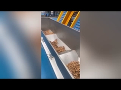 AI-powered Multi-Grade Walnut Kernel Sorting Machine