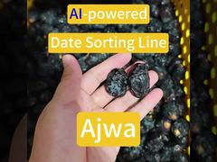 Smart Dates Sorting Machine-Ajwa sorting case