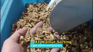 High Efficiency Walnut Kernel Sorter-Multi grades in one passing