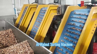 AI powered multl grades walnut kernel sorting machine with 12 outlets
